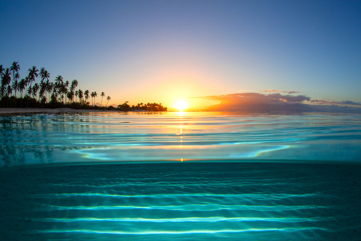 Tropical & Adventurous