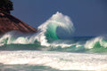 Brazil Backwash
