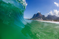Brazil Bliss