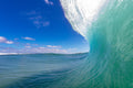 Surf Snapper